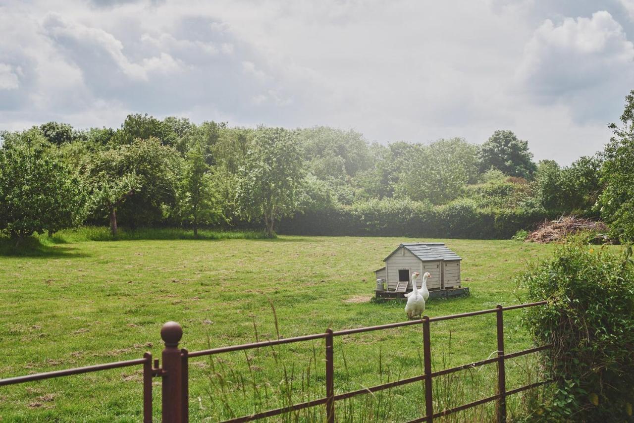 Apple Tree Cottage Beckford Exteriér fotografie
